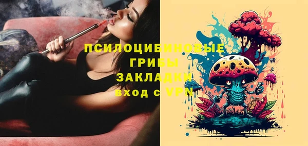 PSILOCYBIN Абаза