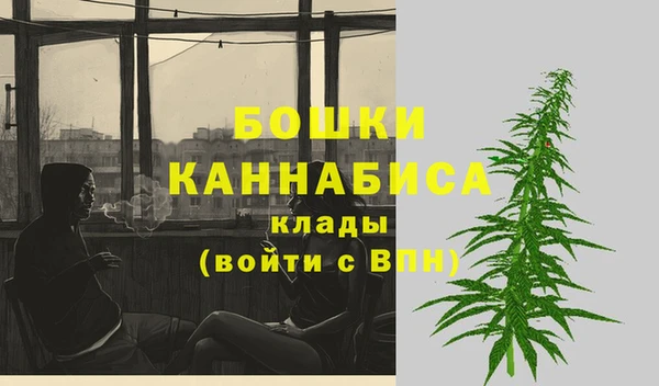 PSILOCYBIN Абаза